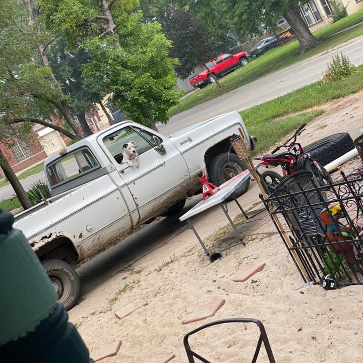 Profile Picture of Preston Grant (@originalchevy_79k10) on Tiktok