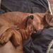 Profile Picture of Krysia and Company (@kbearden74) on Pinterest