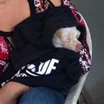 Profile Picture of Gary Baldy En Frikeo (@garybaldy_rs) on Instagram