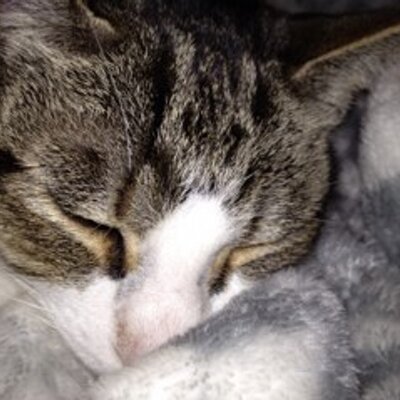 Profile Picture of Len Mills (@millslen) on Twitter