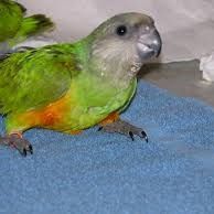 Profile Picture of Colby Kline (@chloekline14) on Pinterest