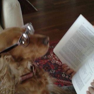 Profile Picture of Ada Macario (@Ada-Macario) on Facebook