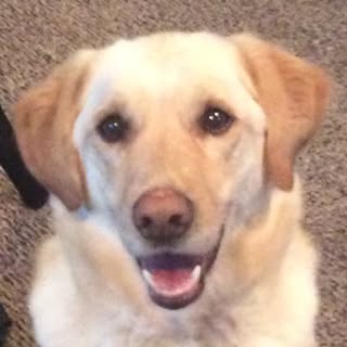 Profile Picture of Buddy McKay (@buddy.mckay) on Instagram