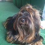 Profile Picture of Chris Hankenson (@chrishankenson) on Instagram