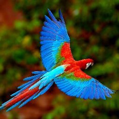 Profile Picture of Gabriel Yong (@13_yong) on Twitter