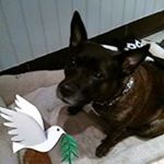 Profile Picture of Lisa mancuso (@mancuso7435) on Instagram