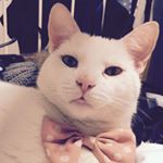 Profile Picture of Mel Richards (@smellymelly1973) on Instagram