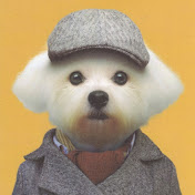 Profile Picture of Martin Fuggle (@mfuggle) on Youtube