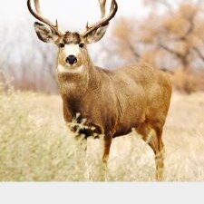 Profile Picture of Aaron Leone (@AaronLeone2) on Twitter