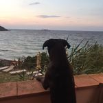 Profile Picture of Enrica Raverta (@enrica_raverta) on Instagram