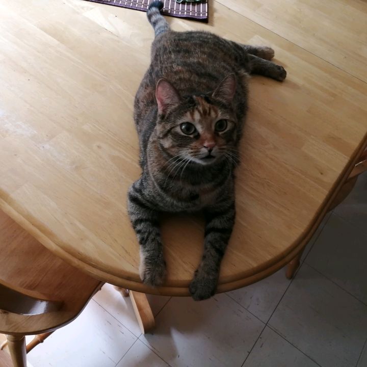 Profile Picture of Louise Leduc (@louiseleduc3) on Tiktok