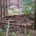 Profile Picture of Walter G. Malkowski (@Walter-G-Malkowski) on Facebook