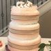 Profile Picture of Cindy Dycus (@cdycus5658) on Pinterest