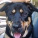 Profile Picture of Teddi Matthews (@teddimatthews28) on Pinterest