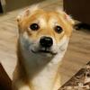 Profile Picture of jeremy andrew (@@jeremyandrew86) on Tiktok