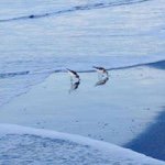 Profile Picture of Aileen Cook (@adcook94) on Instagram