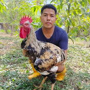 Profile Picture of Jairo David Saca Guaman (@jairodavidsacaguaman1481) on Youtube