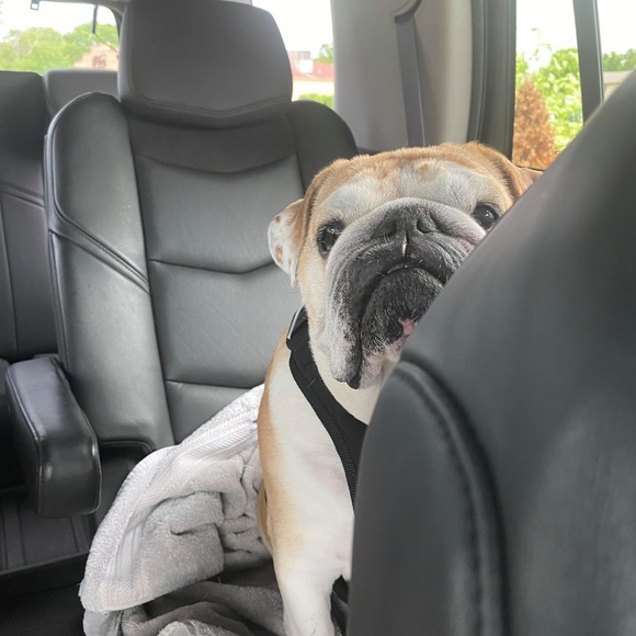 Profile Picture of Veronica Davidson (@shikerra2005) on Poshmark