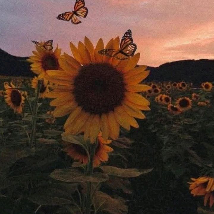 Profile Picture of ❤️ Bebesiita Dayiii 💘 (@.dayami.lpez) on Tiktok