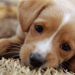 JUNIOR MARTELLOTE ... - Instagram Profile Picture of JUNIOR MARTELLOTE ... (@waldirmartellote) on Instagram