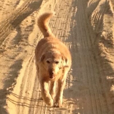 Profile Picture of Cynthia Cromwell (@cgrantcromwell) on Twitter
