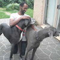 Profile Picture of Ermias Zerazion (@ermias-zerazion) on Quora