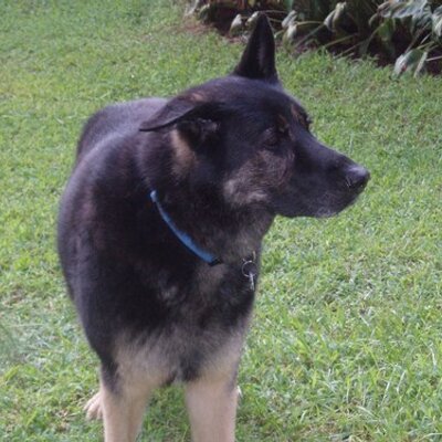 Profile Picture of Russ Dixon (@aim4up) on Twitter