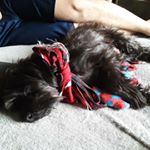 Profile Picture of Alex Partida (@alex.partida.1293) on Instagram
