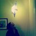 Profile Picture of Hailey Harmon (@hharmon88) on Pinterest