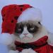 Profile Picture of Dwayne Greer (@dlawgreer) on Pinterest
