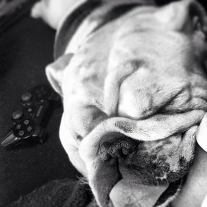 Profile Picture of Chante Jackson (@chante16) on Myspace