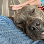 Profile Picture of Carrie Riley-Bernard (@carrierileybernard) on Instagram