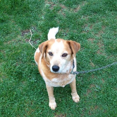 Profile Picture of Tom Rief (@tom_rief) on Twitter