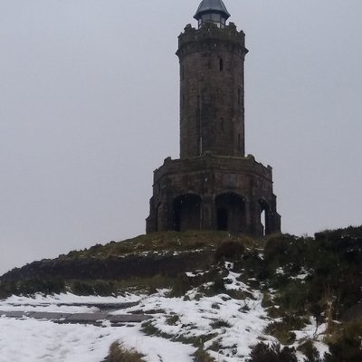 Profile Picture of Chris Horne (@cph1995) on Twitter