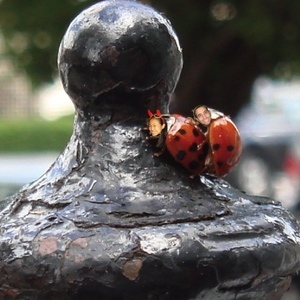 Profile Picture of George Ballesteros (@soulkissed7) on Myspace