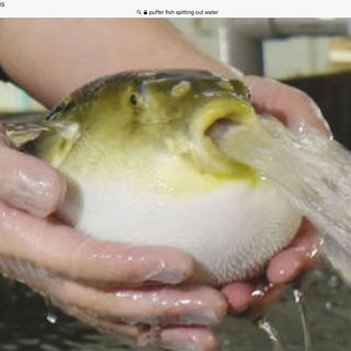 Profile Picture of Kenneth Stemsley (@kenneth.stemsley.39) on Facebook