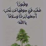 Profile Picture of Noha Ebrahim (@Noha-Ebrahim) on Facebook