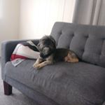 Profile Picture of Jake Waynick (@waynickjake) on Instagram