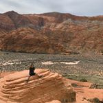 Sang-Jin Lee - Instagram Profile Picture of Sang-Jin Lee (@sangjin_lee) on Instagram