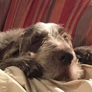 Profile Picture of Anne Swift (@anne.swift.37) on Facebook
