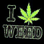 Profile Picture of patrick swett (@patrickswett) on Instagram