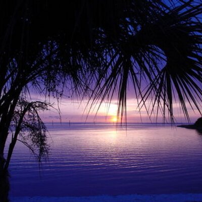Profile Picture of Jim Hearns (@Jhearns2) on Twitter