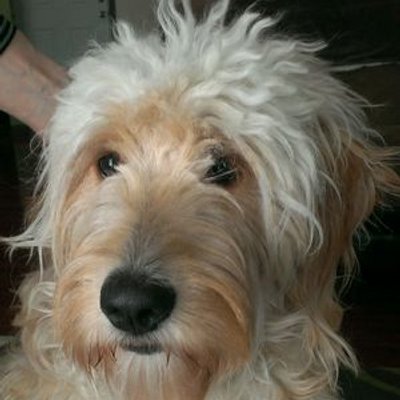 Profile Picture of Nathaniel Oliver (@noliver857) on Twitter