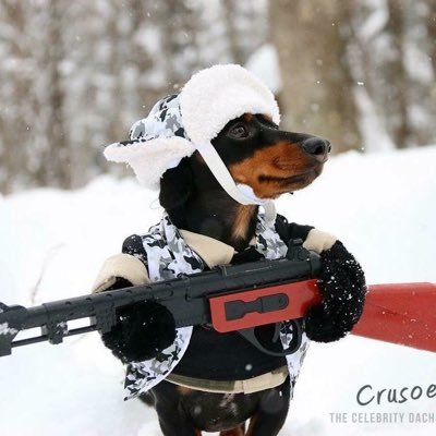 Profile Picture of Iver Joseph Goodrich (@IverGoodrich) on Twitter
