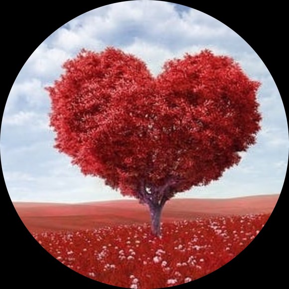 Profile Picture of Cassie Wright (@caw101) on Poshmark