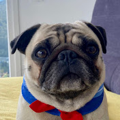 Profile Picture of Paula Blanco (@paulablanco761) on Youtube