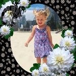 Patricia Beales - Instagram Profile Picture of Patricia Beales (@doddtheplod) on Instagram