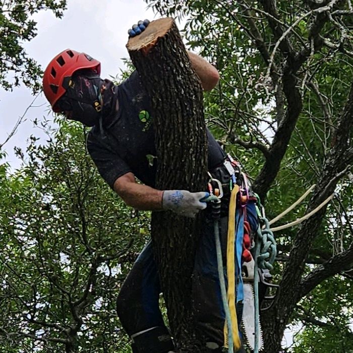 Profile Picture of Daniel Whitesides (@daniel.whitesides) on Tiktok