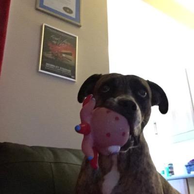 Profile Picture of Julia Coulter (@juliacoulter12) on Twitter