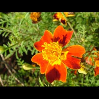 Profile Picture of Carson Larson (@carson.larson.75) on Facebook